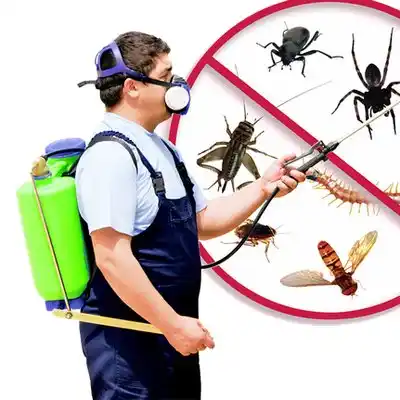 pest control Oronogo